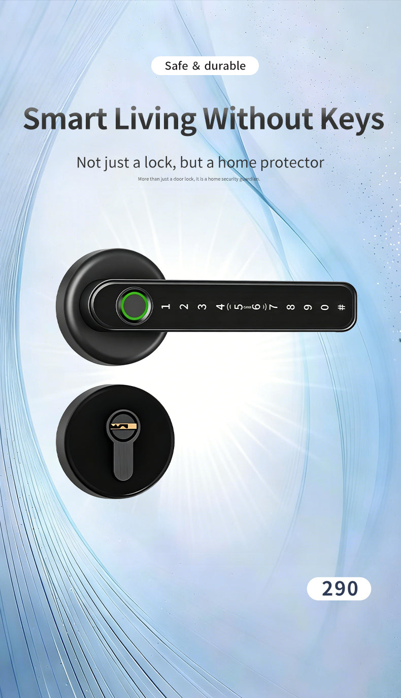 290 Door Lock Series