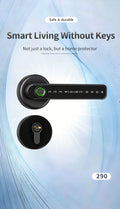 290 Door Lock Series
